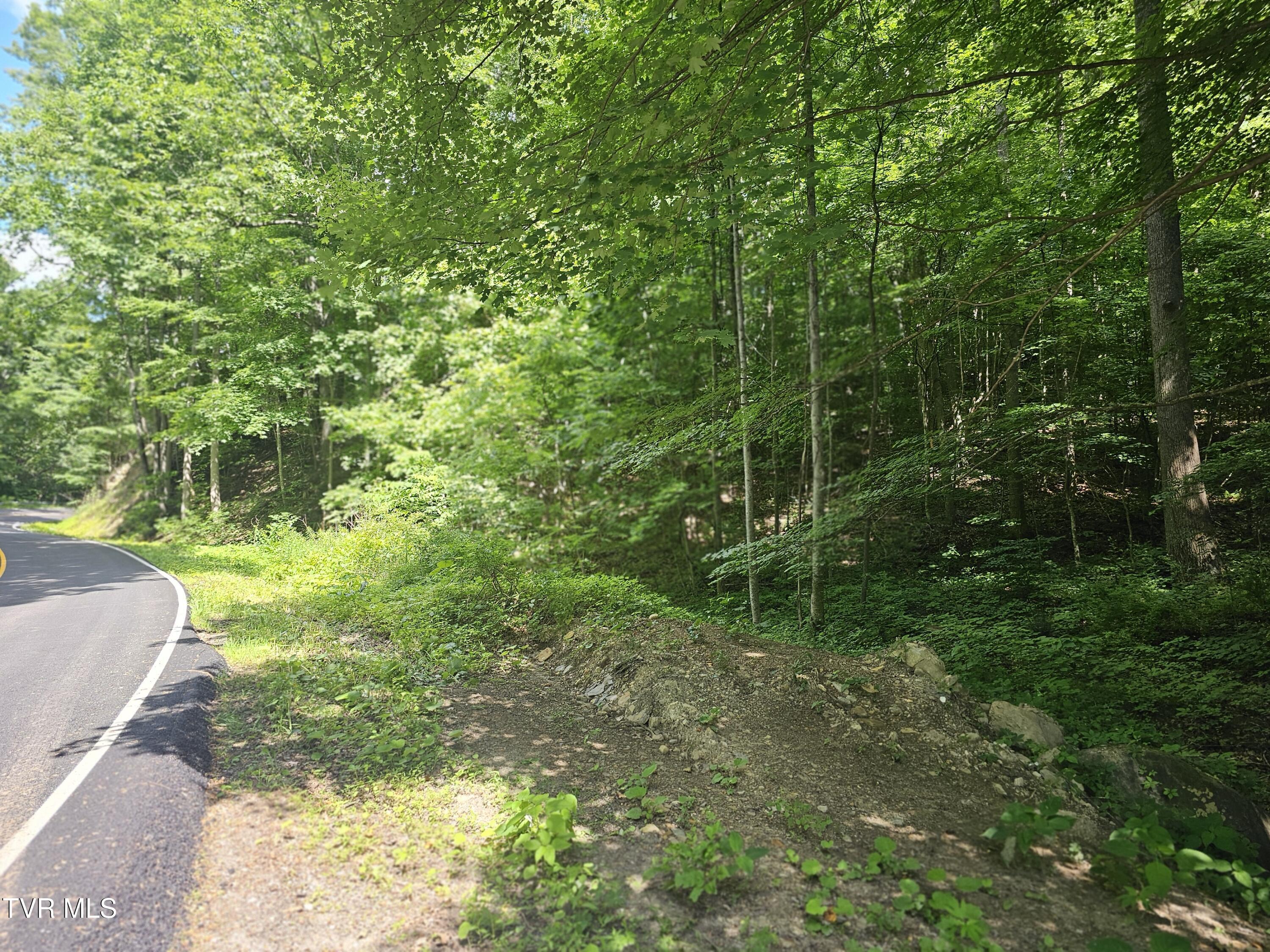 Image 3: road view