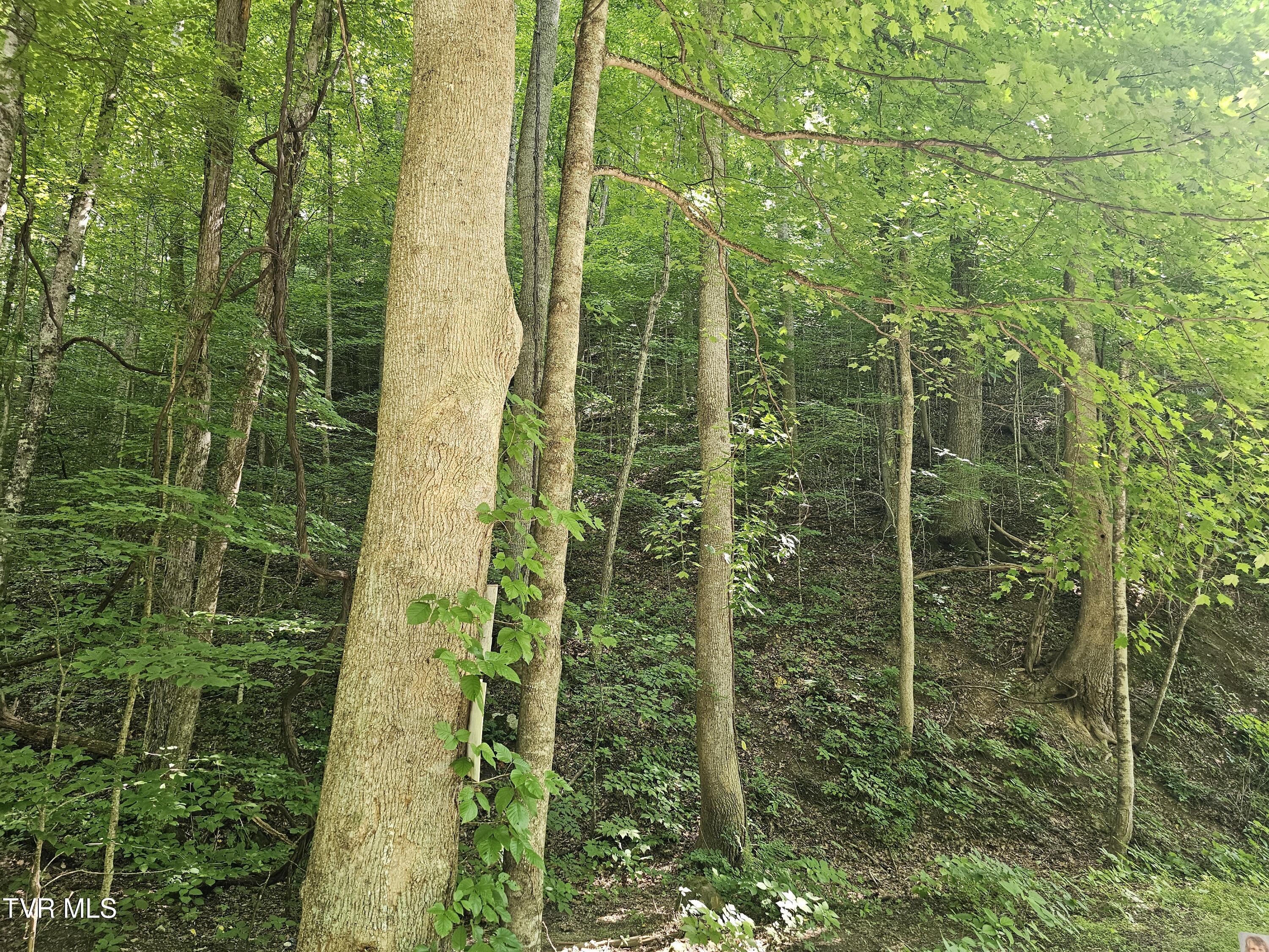 Image 4: properry