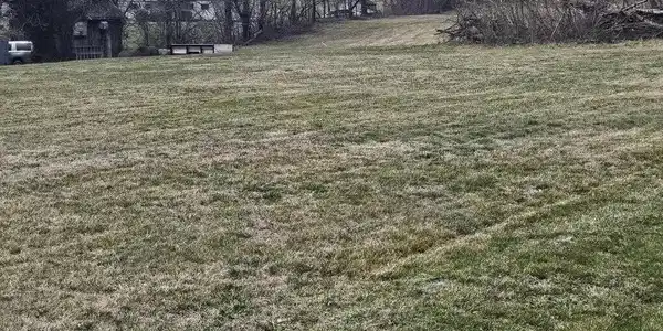 Image 4: land2