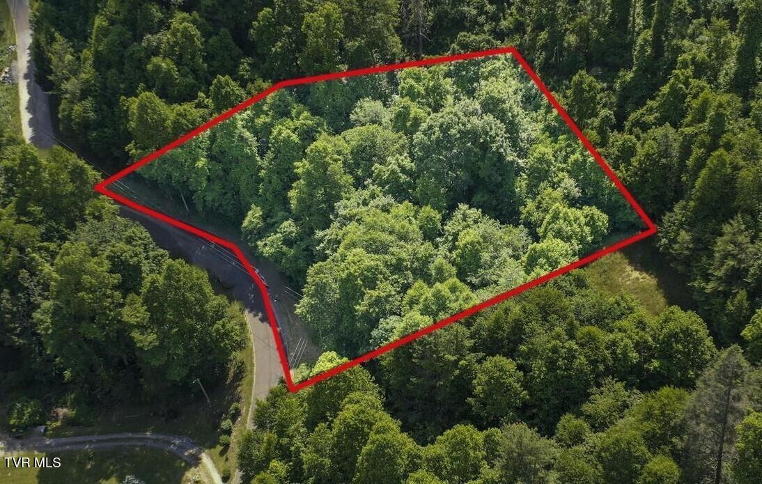 Image 3: Lot 7 Aerial