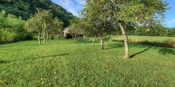 1841 Rice Creek Road