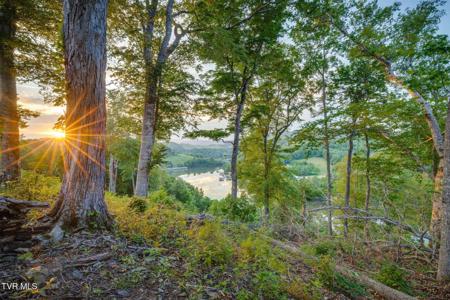 Lot 24 Cowan Town Road