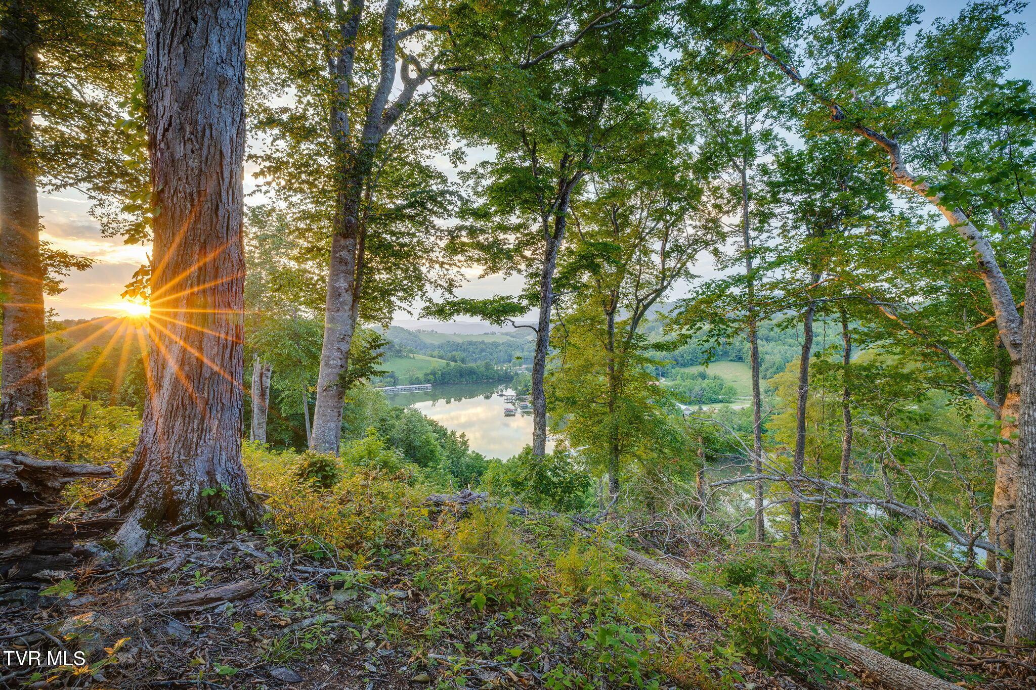 Image 1: 001