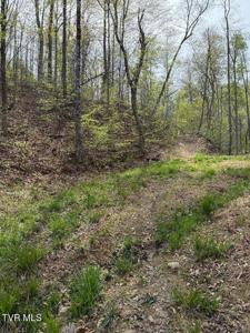 0 Pine Mountain Road