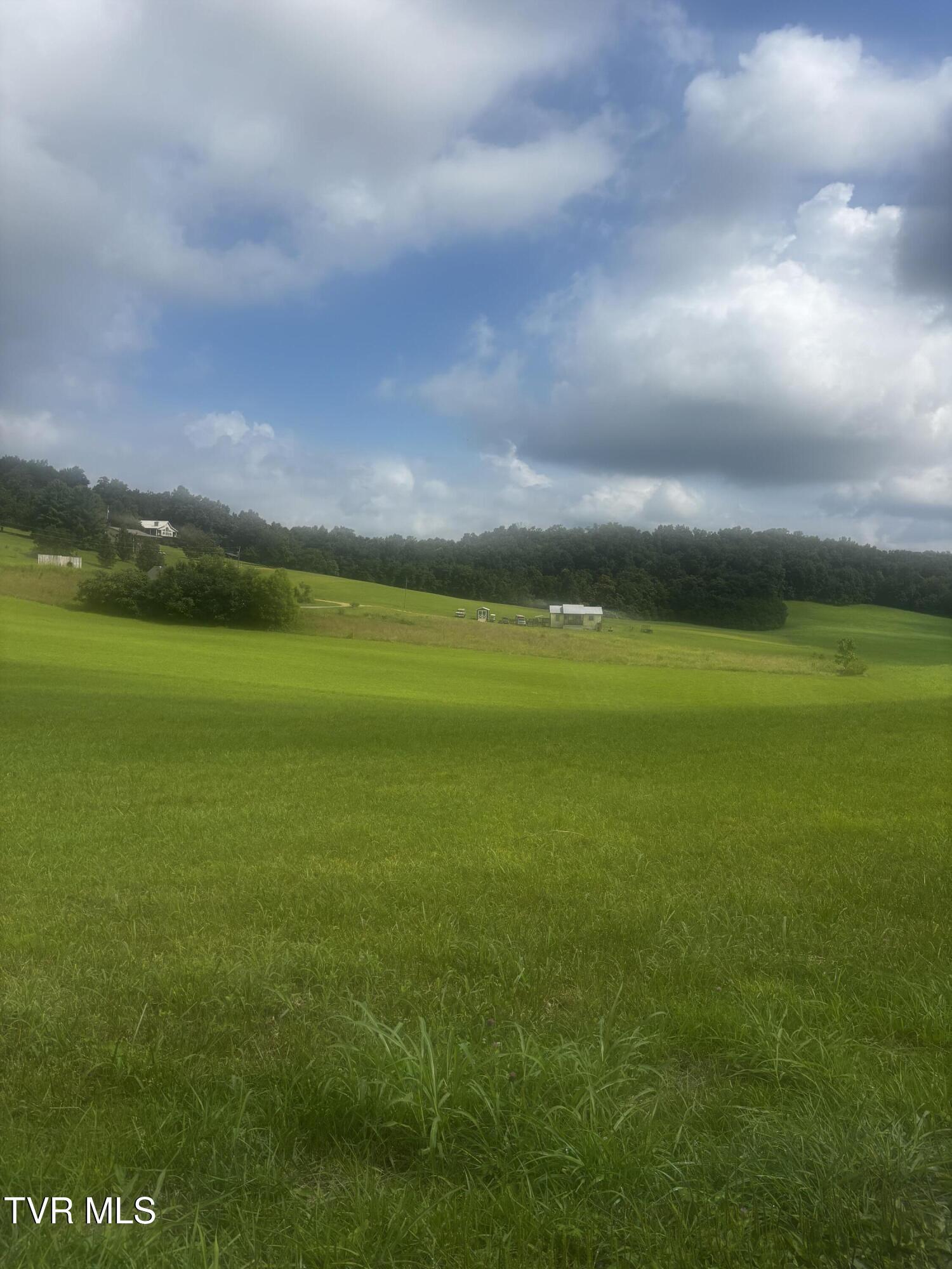 Image 2: IMG_6501