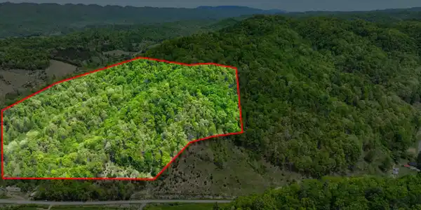 Image 2: 18353 McCall Gap Rd Drone MARTIN-15