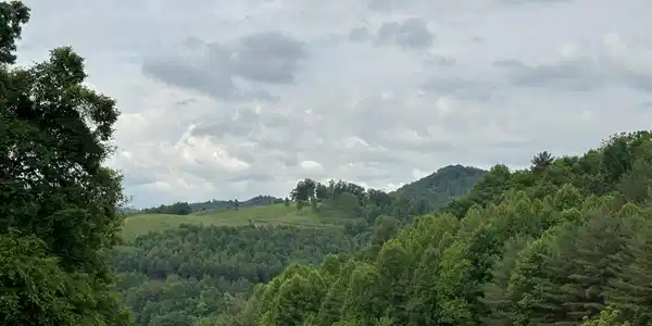 Image 3: Butler 10