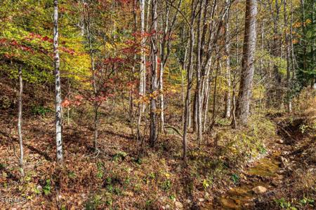 Tbd Lumpkin Branch Road