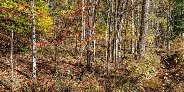 Tbd Lumpkin Branch Road