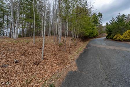 Lot 4 Of Forge Creek Road
