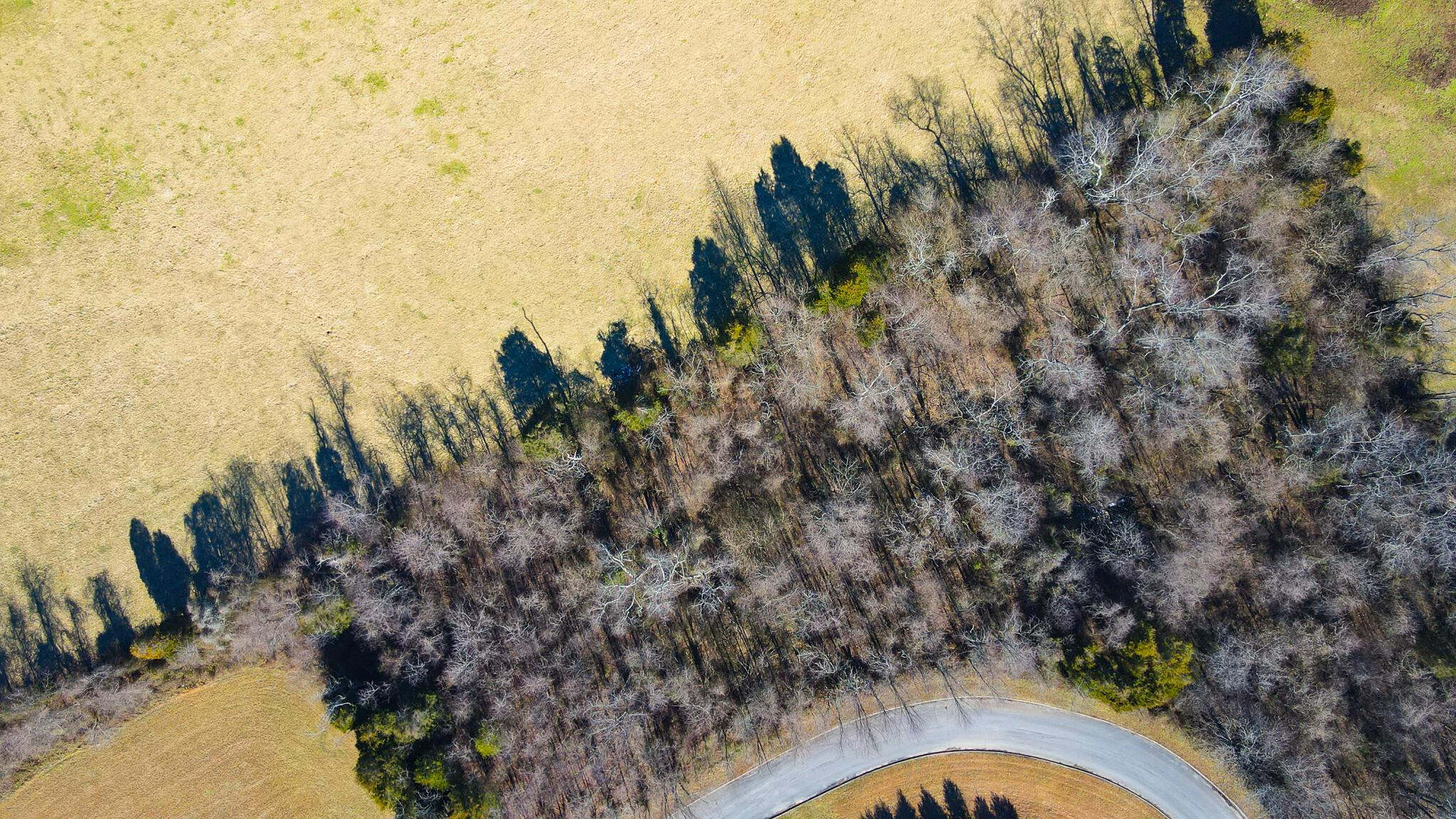Image 3: 24-26 Birds Eye