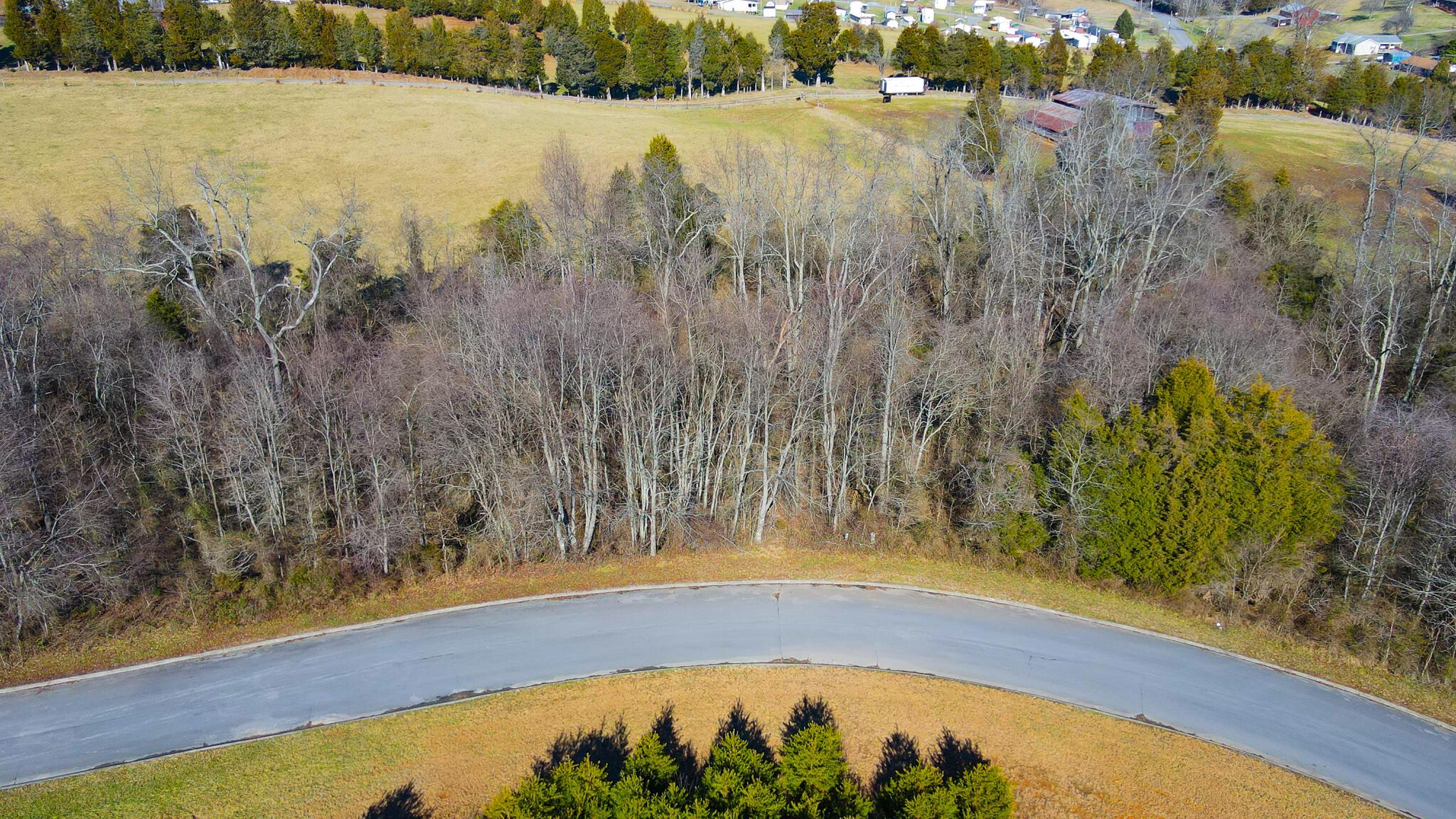Image 4: 24 Aerial Frontal