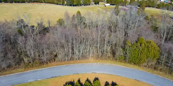Image 4: 24 Aerial Frontal