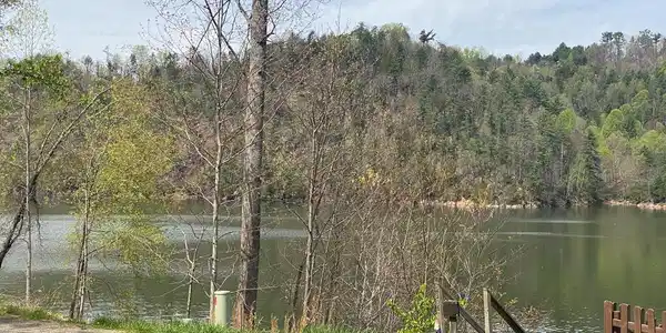 Image 4: norriswater