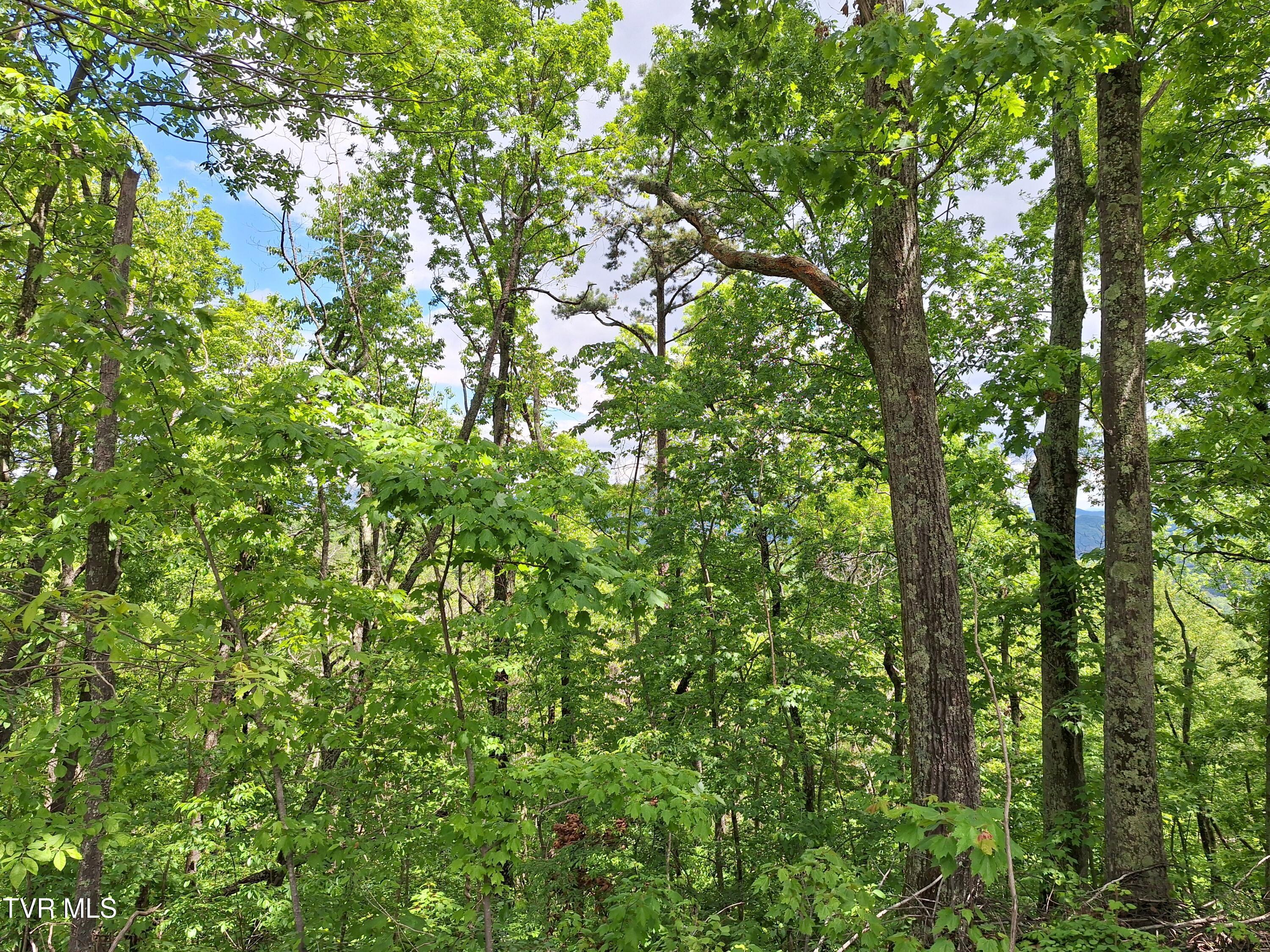 Image 2: 20250505_131359