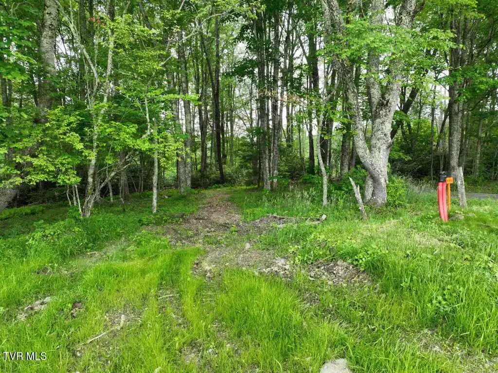Image 1: DJI_0066