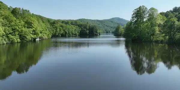 Image 2: DJI_0858