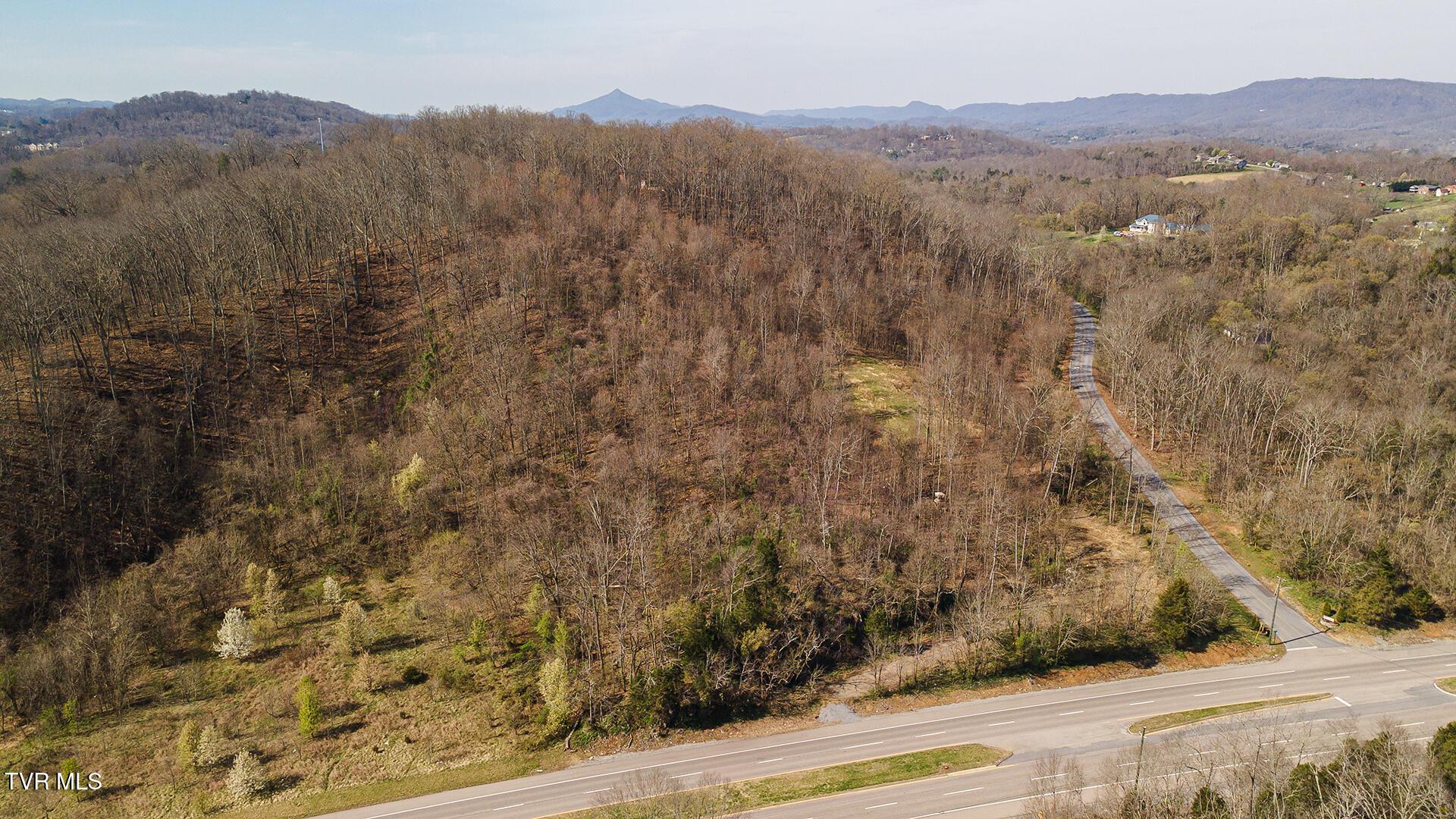 Image 3: Shandi-W-1116-Moreland-Drive_0906