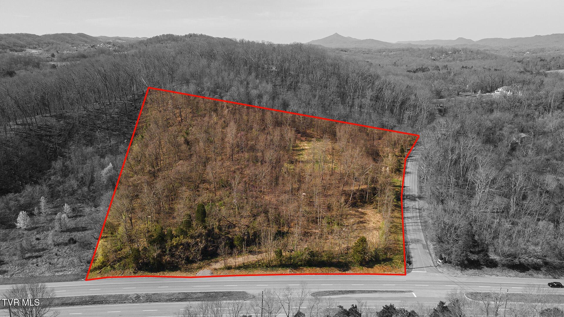 Image 4: Shandi-W-1116-Moreland-Drive_0907A
