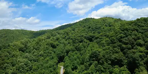 Image 3: dji_fly_20260616_134350_610_178163213803