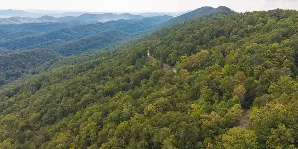 170 Fire Tower Road