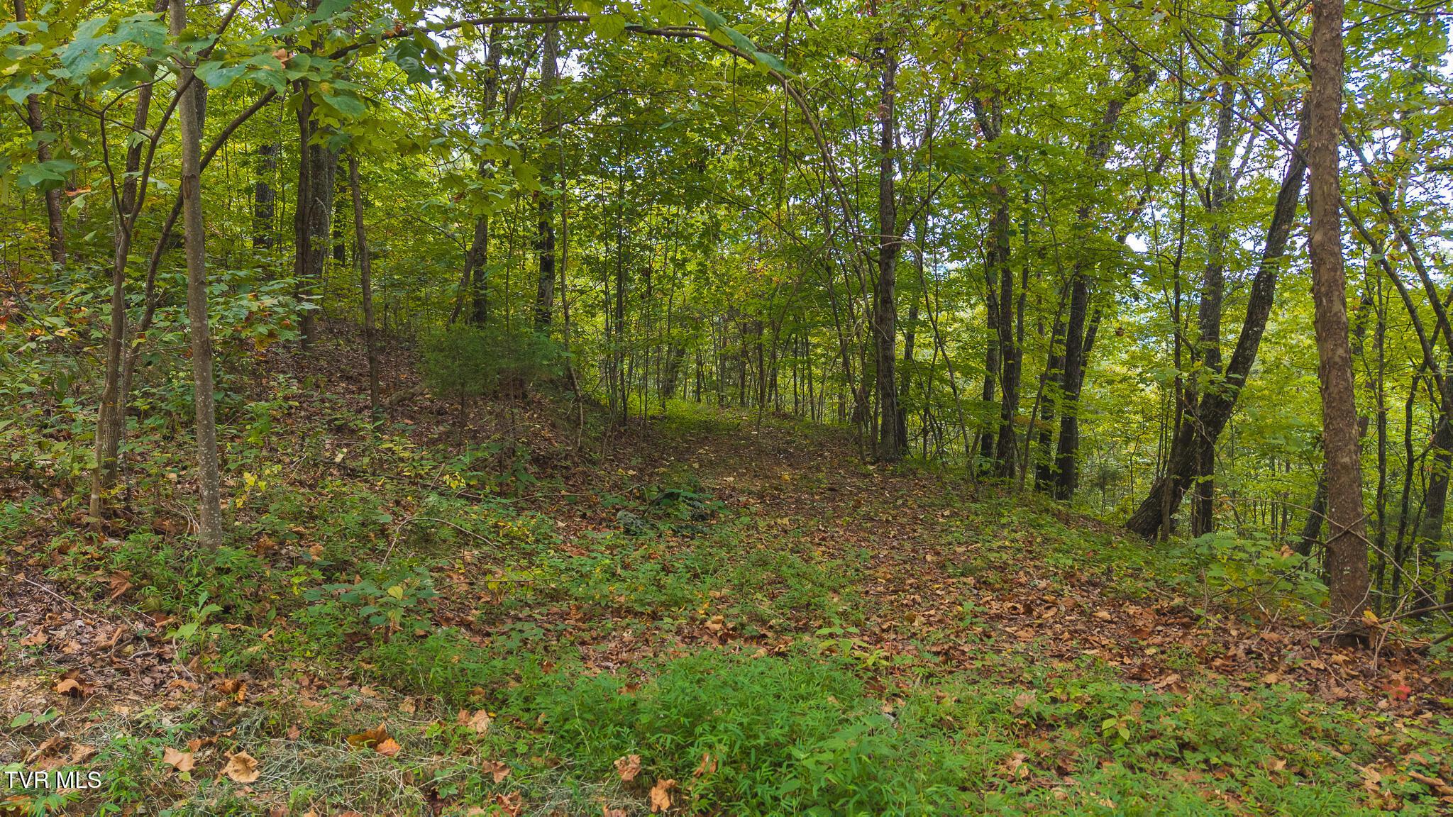 Image 4: DJI_20250917155041_0312_D
