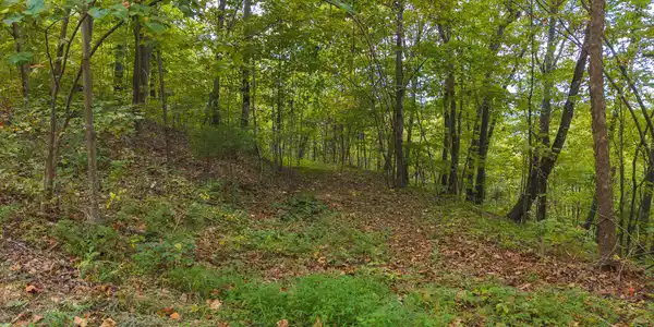 Image 4: DJI_20250917155041_0312_D