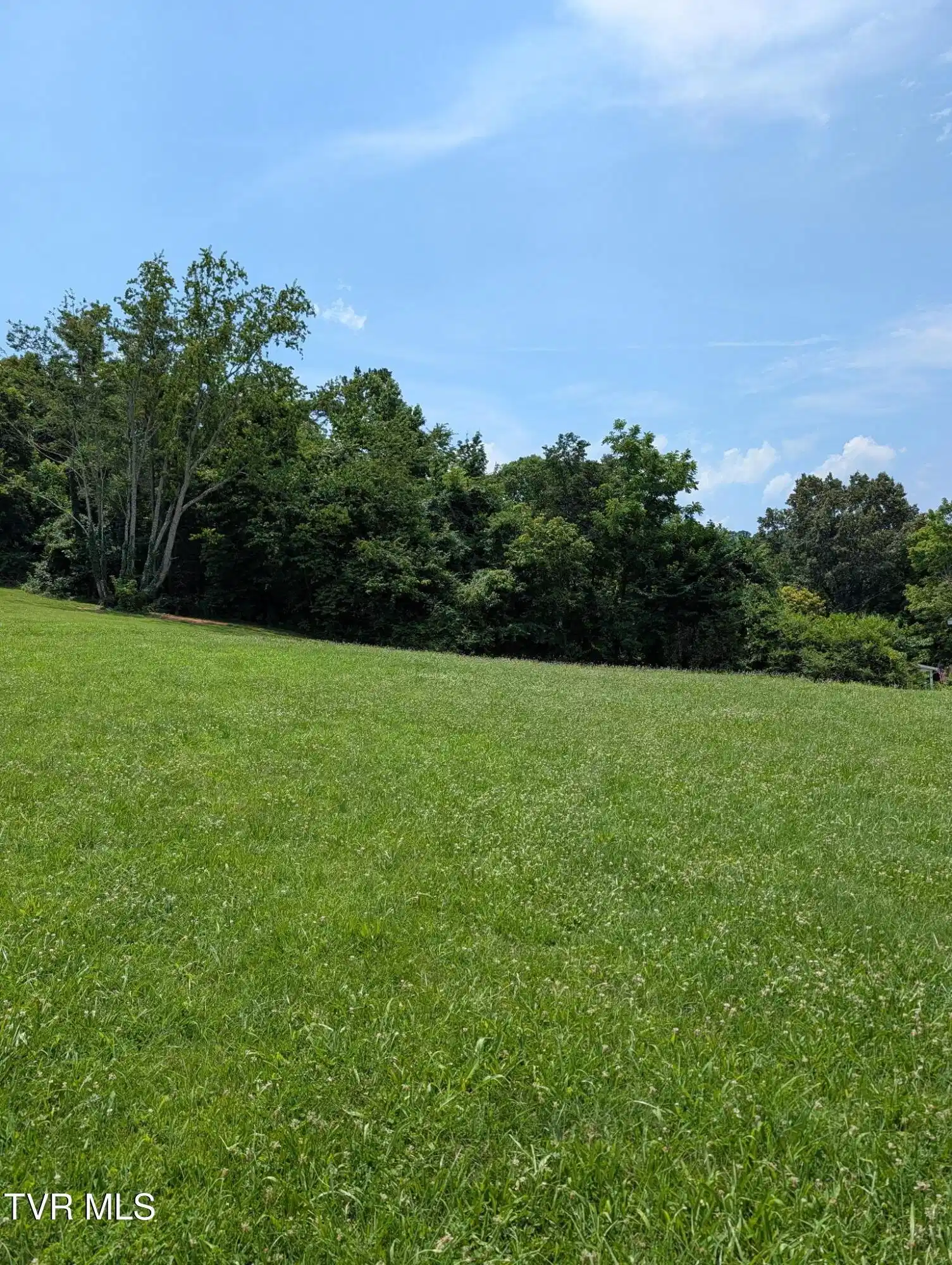 Image 1: OL1