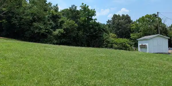 Image 2: OL2