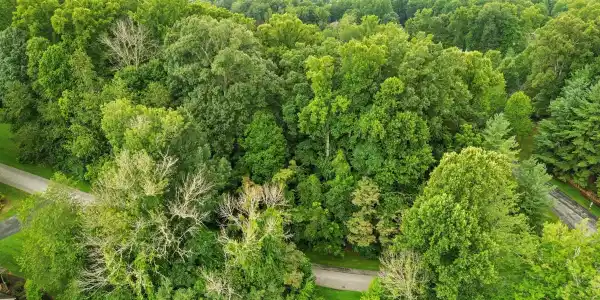 Tbd Stonewall Ridge