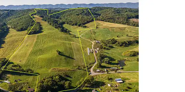 Image 2: Aerial w: property lines