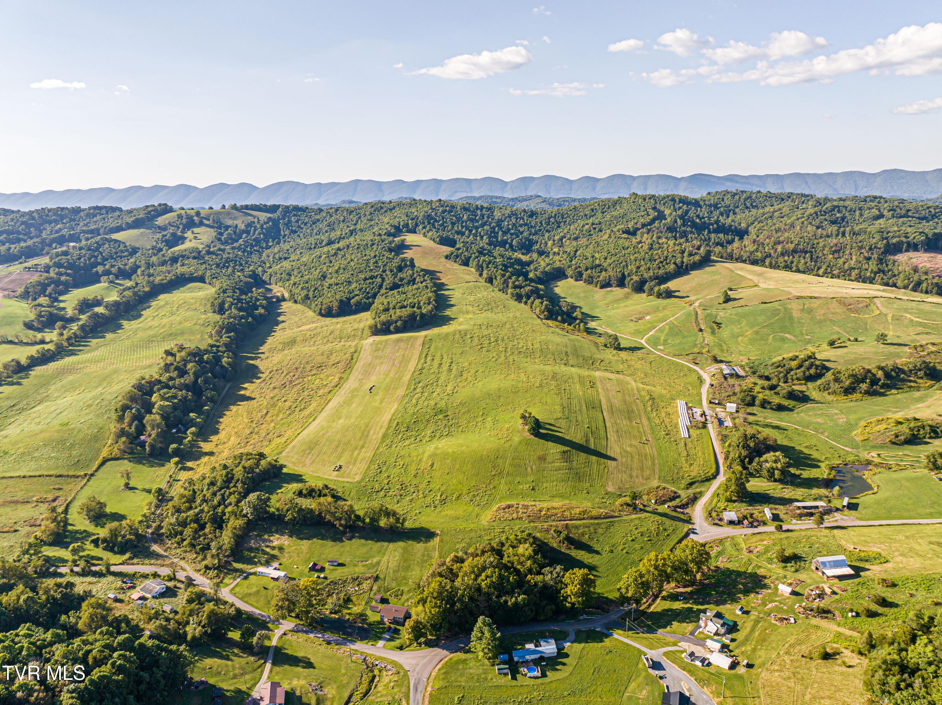 Image 4: Harleywood-02