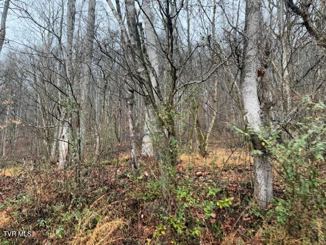 Image 3: IMG_5842