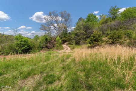 Tbd Lacy Hollow Road