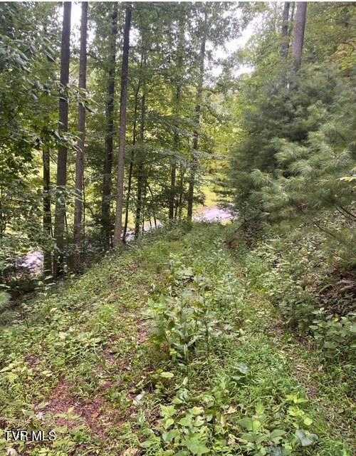 Image 2: horseshoe2