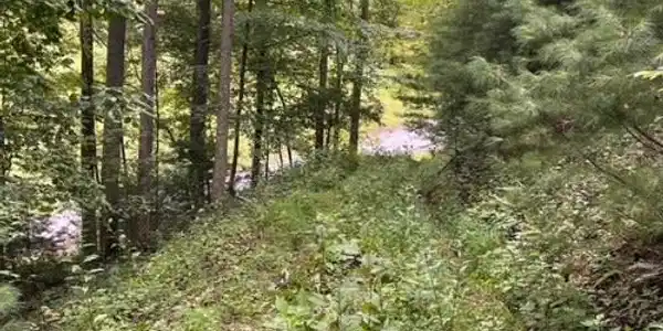 Image 2: horseshoe2