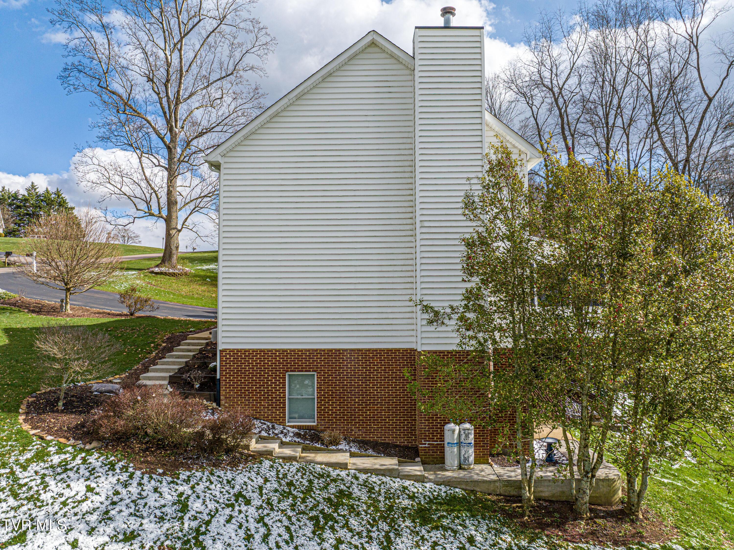 Image 4: Colony -101