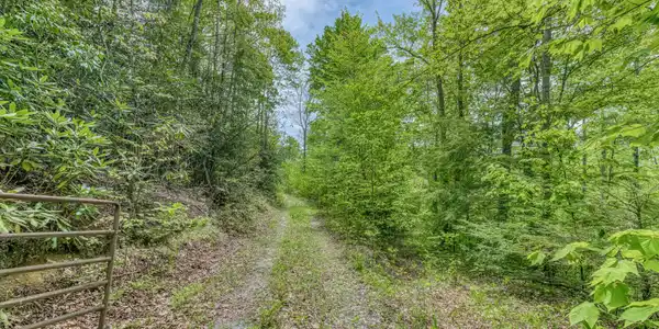 Image 2: 162 Murph Potter Ln-1