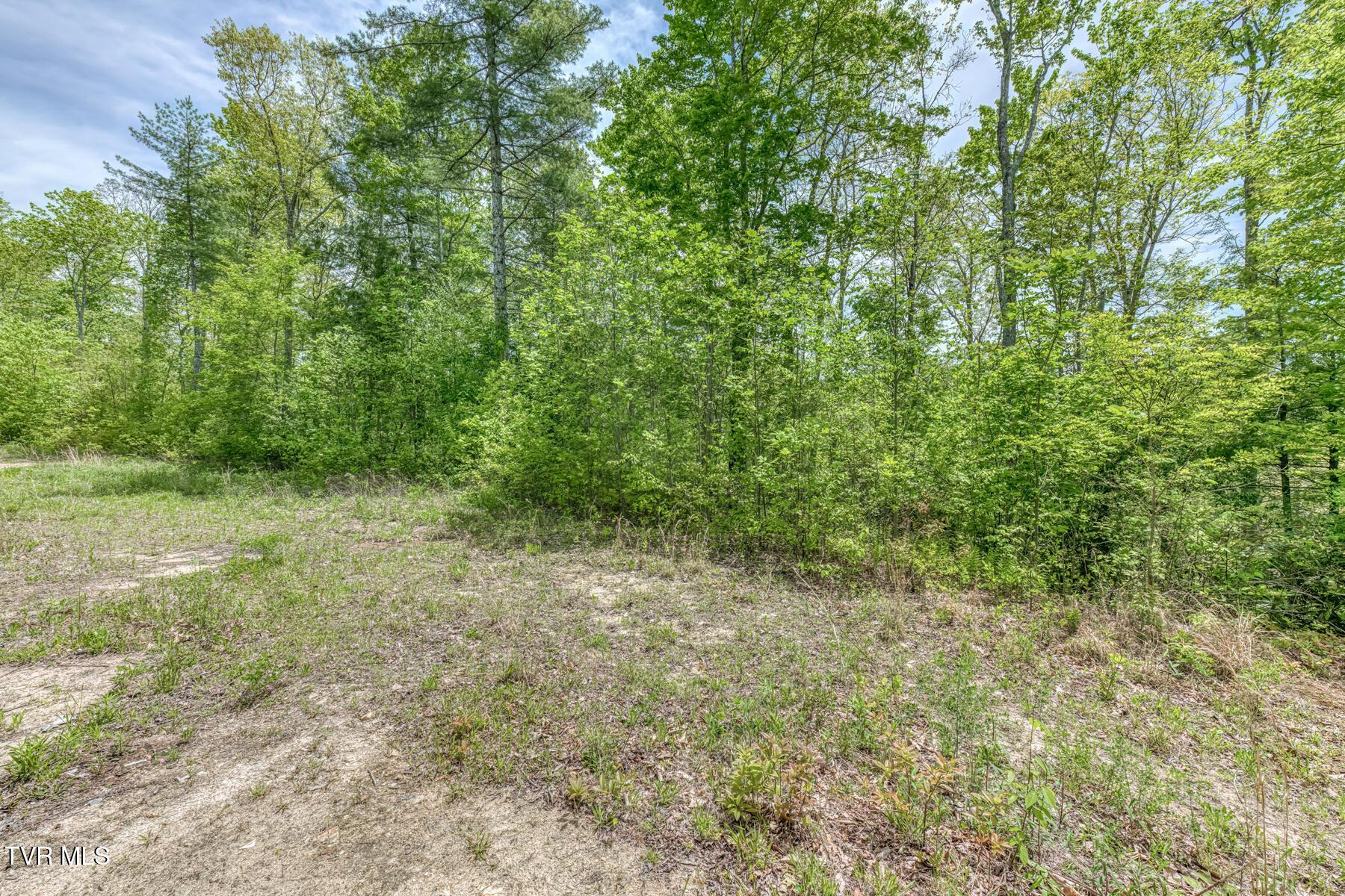 Image 3: 162 Murph Potter Ln-11