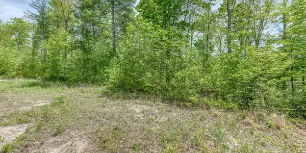 Image 3: 162 Murph Potter Ln-11