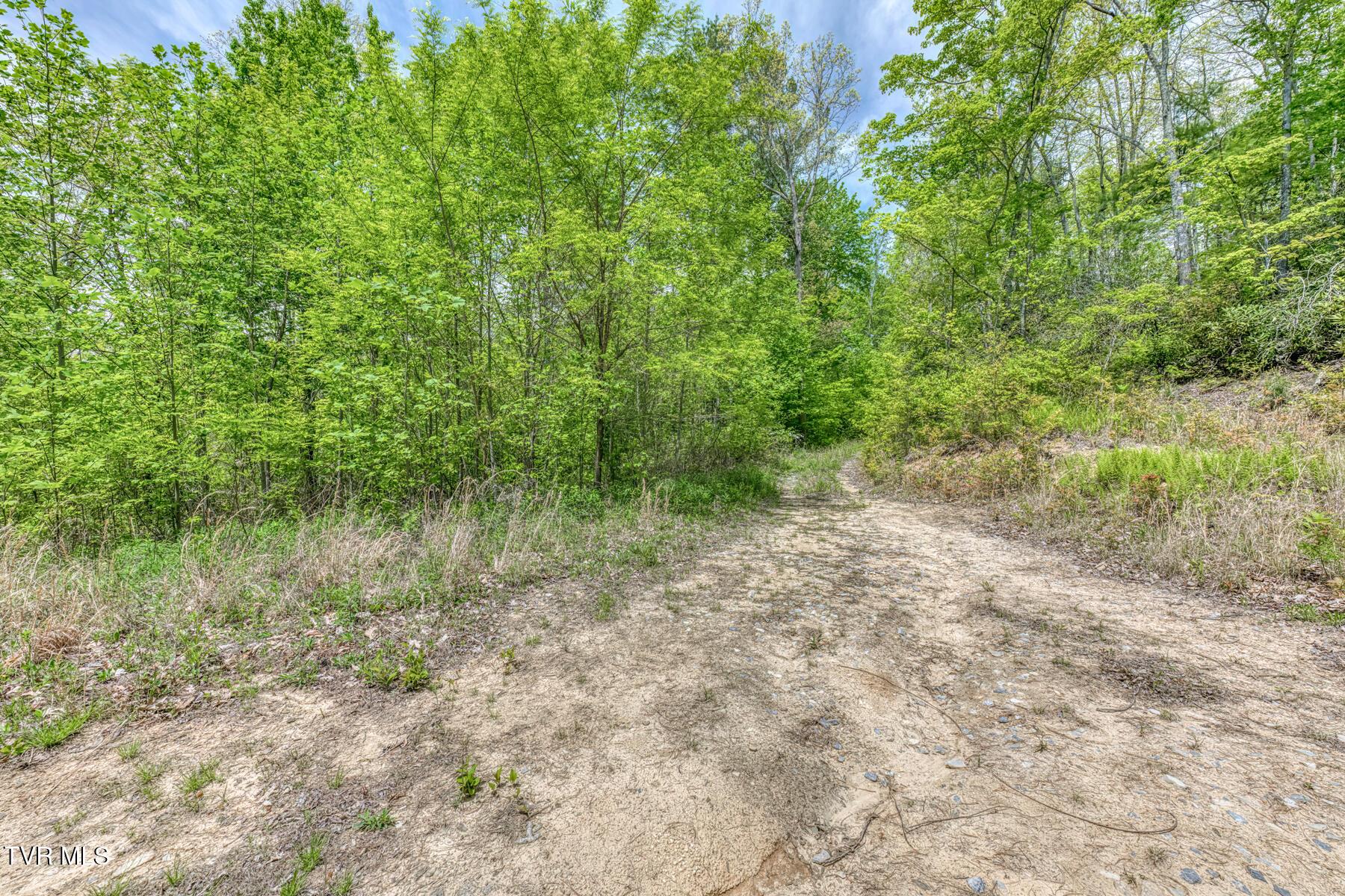 Image 4: 162 Murph Potter Ln-9
