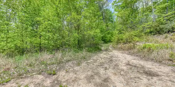 Image 4: 162 Murph Potter Ln-9