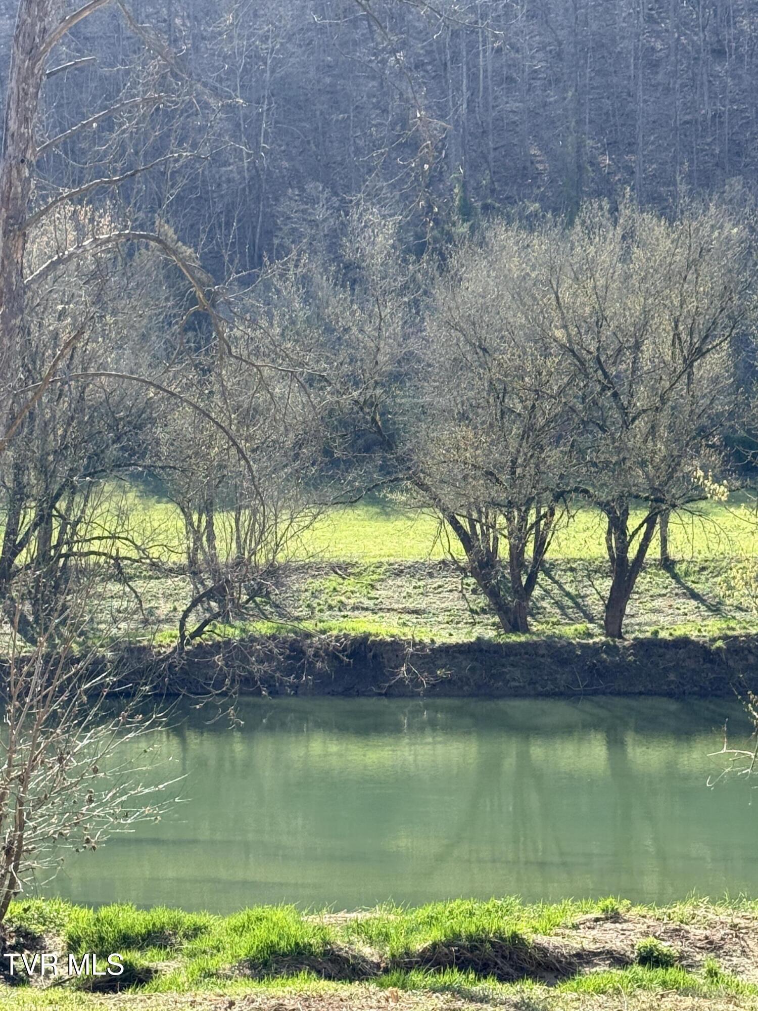 Image 2: IMG_1009