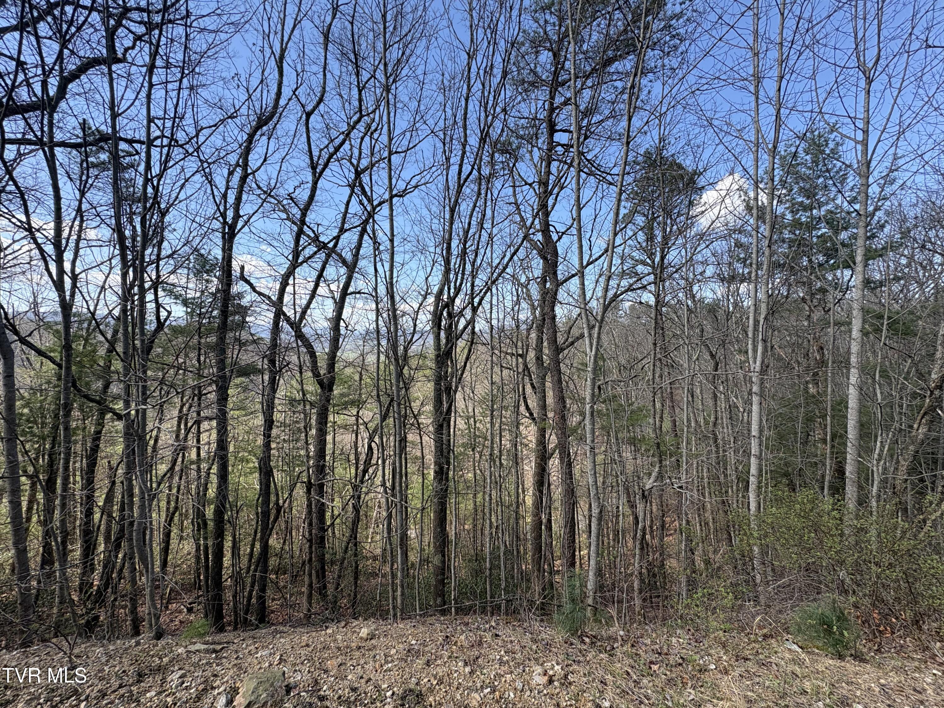 Image 2: IMG_9780