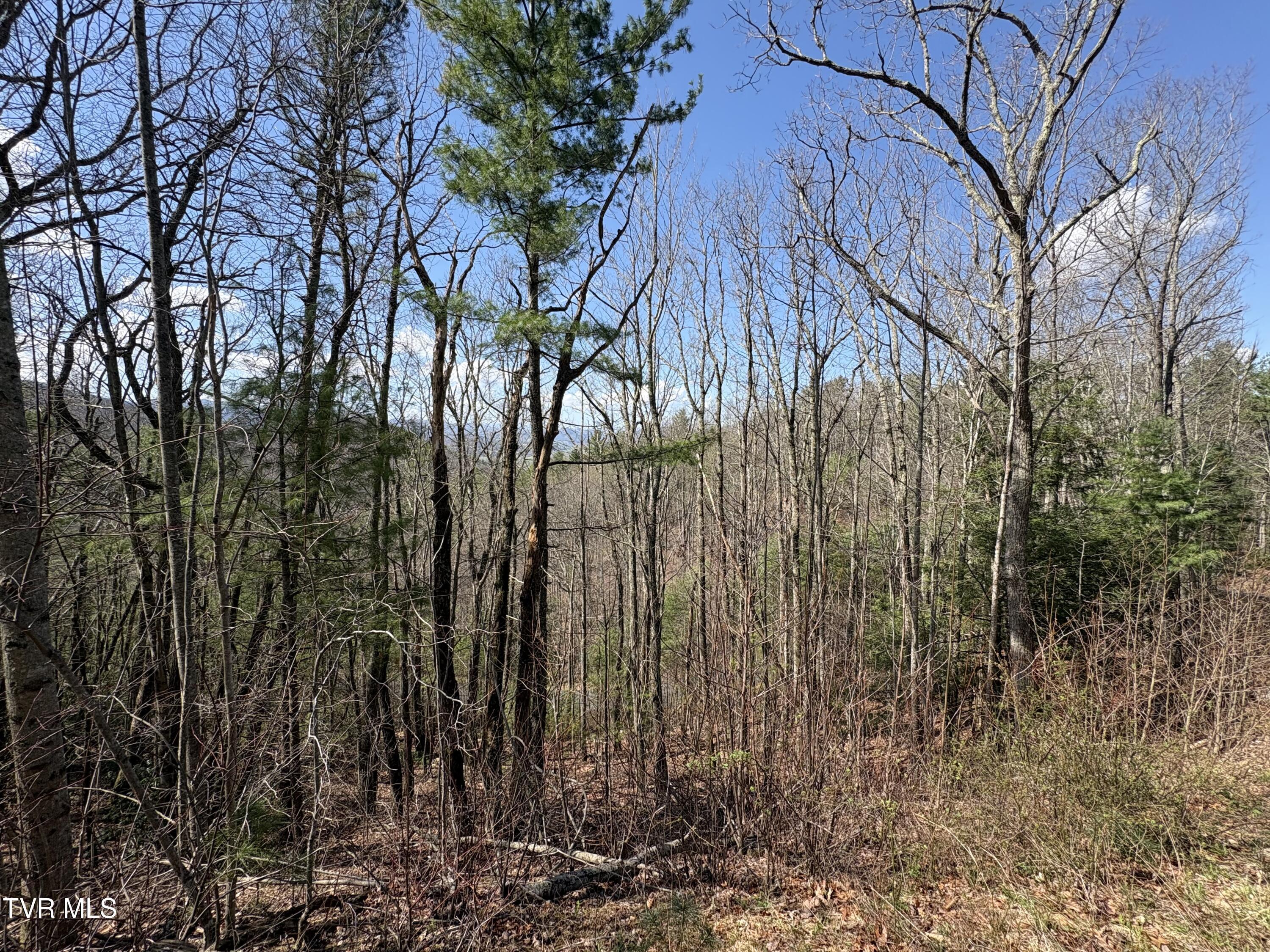 Image 4: IMG_9782