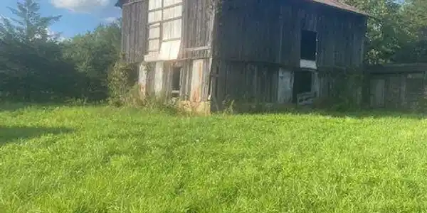Image 4: barn