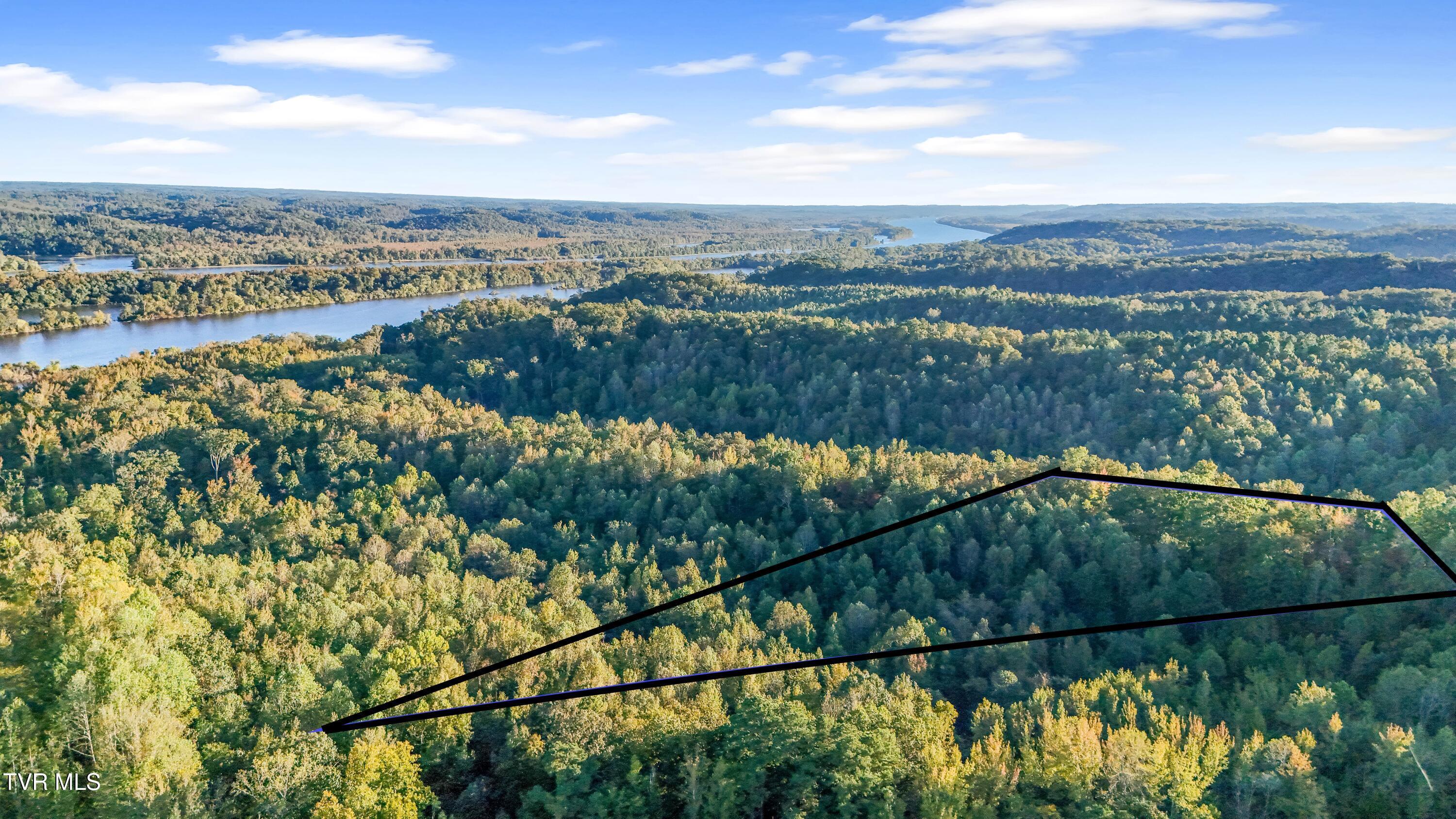 Image 1: THIS ONE _)_not_shaded