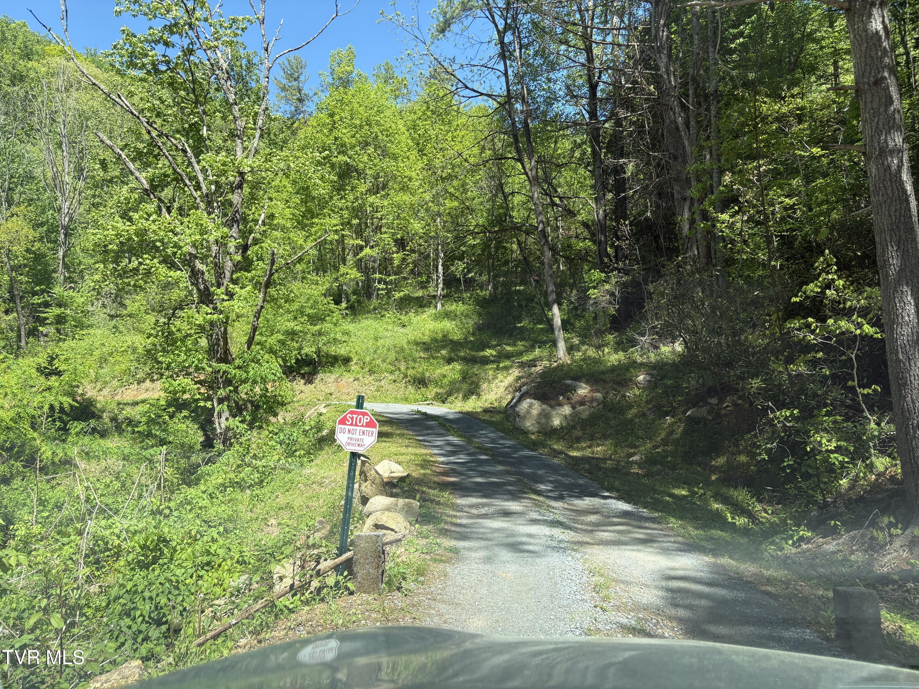 Image 4: IMG_8383