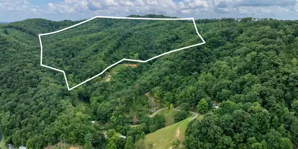 Tbd Ash Hopper Hollow