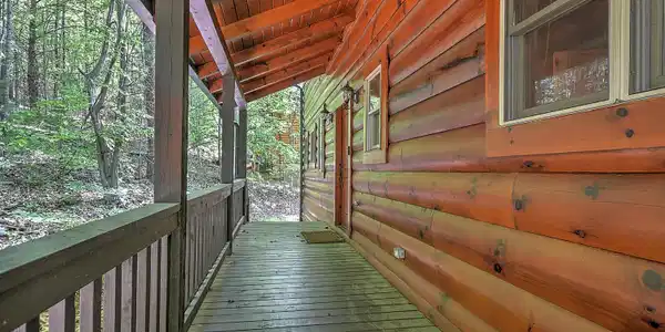 Image 3: 375 Cabin Lake DST-3